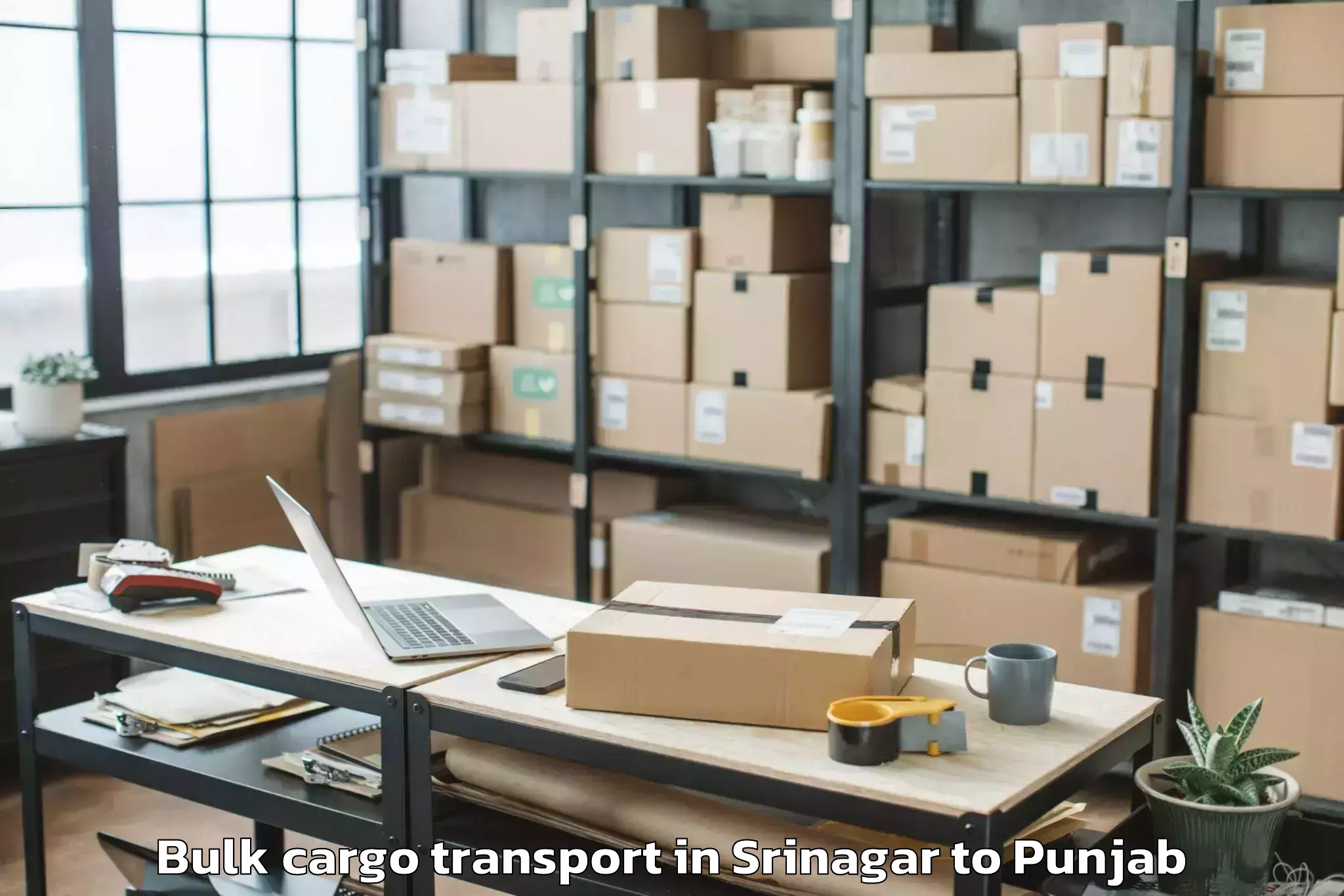 Professional Srinagar to Jang Bulk Cargo Transport